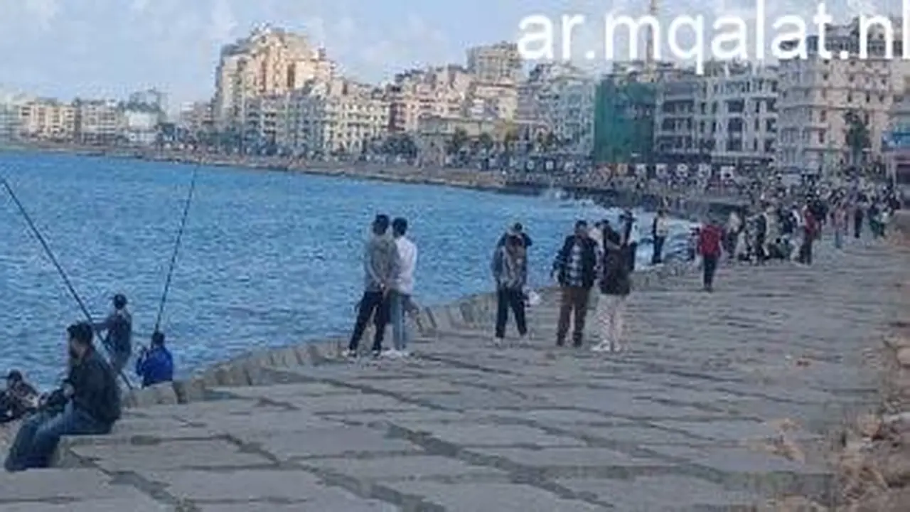 الأرصاد توضح موعد تحسن الطقس بعد طقس مضطرب تشهده البلاد هذا الأسبوع